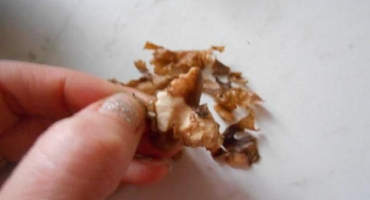 Důvody a co dělat, když moli začínají ve vlašských ořechách